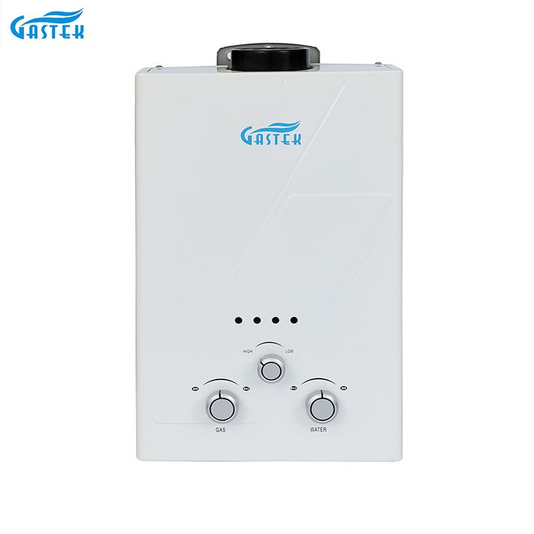 Rökrörstyp Väggmonterad 6L 10L 12L 16L 20L LPG Tanklös Instant Gas Geyser för dusch