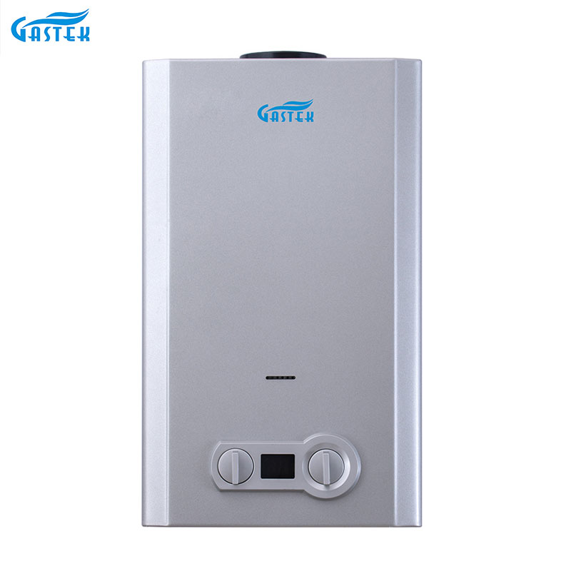 Röktyp 6L 10L 12L 16L 20L TANKLess Instant LPG Natural Gas varmvattenberedare för dusch