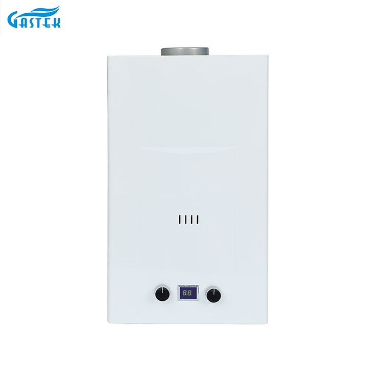 Röktyp 6L 8L 10L 12L 16L 18L 20L TANKLess Instant LPG Gas Geyser för dusch