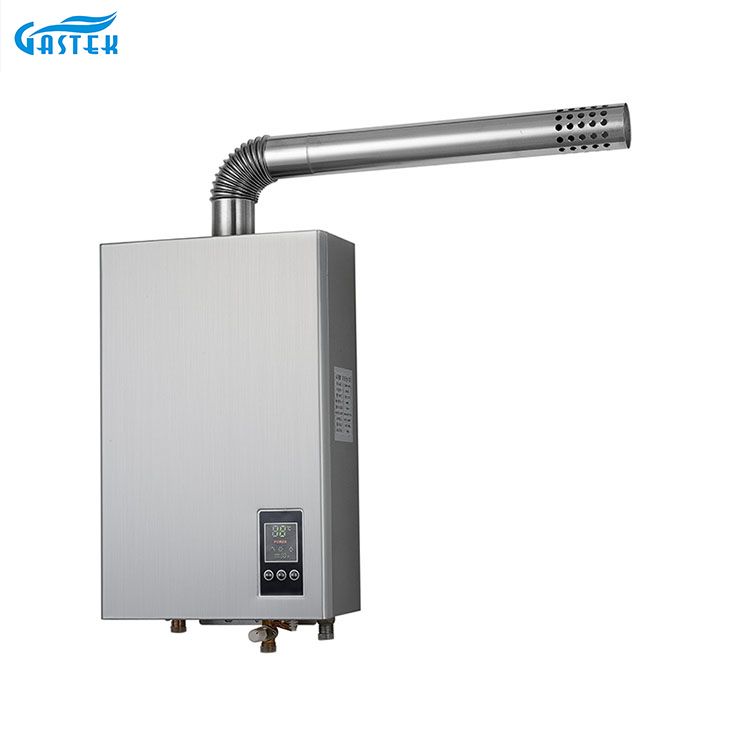 Elektricitet 220V 110V konstant temperatur forcerad typ kompakt storlek gas varmvattenberedare