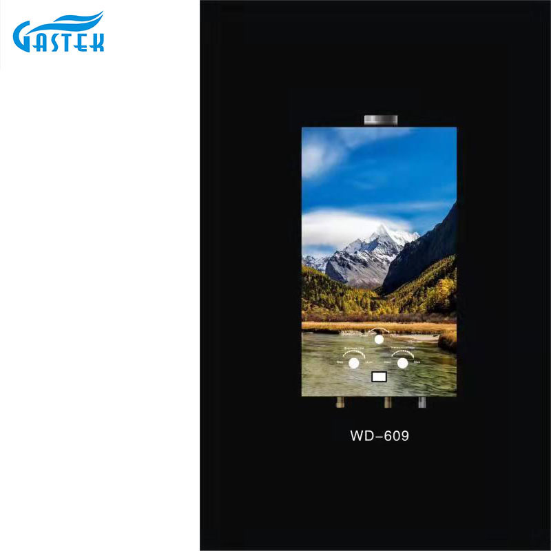 Hot Selling Customized Image Tankless Instant Gas varmvattenberedare för dusch bad